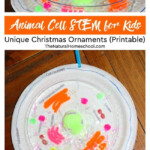 Animal Cell STEM For Kids Unique Christmas Ornaments Printable