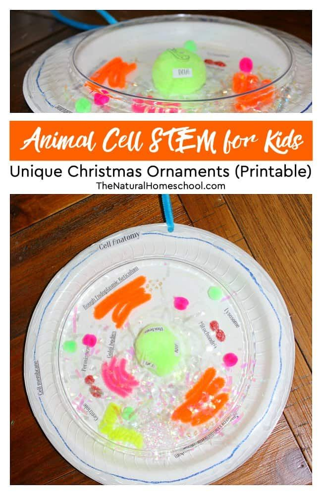 Animal Cell STEM For Kids Unique Christmas Ornaments Printable 