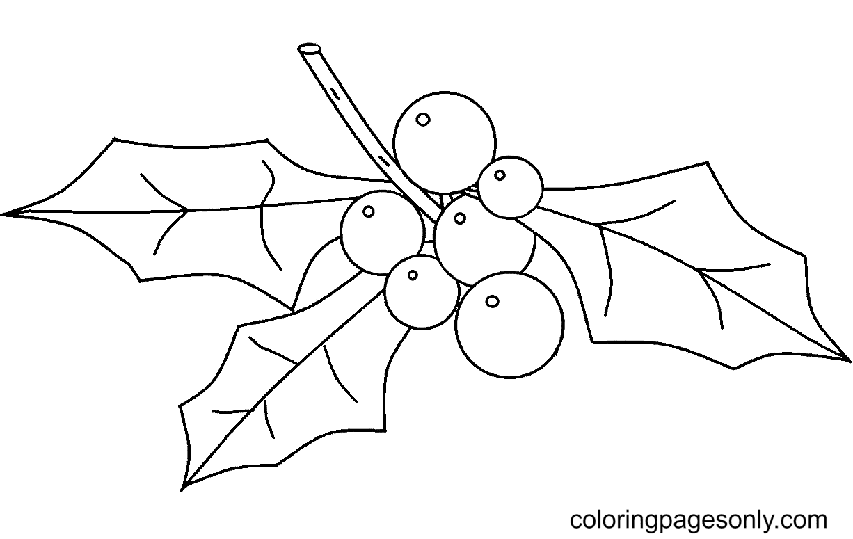 Christmas Ornament Holly Coloring Pages Christmas Ornaments Coloring