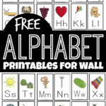 Madeleine Pring Alphabet Flash Cards Printable Pdf Help Children